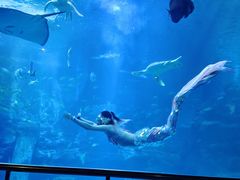 -太平洋海底世界