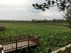-六鼎山文化旅游区