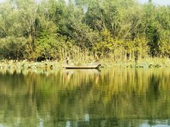 -溱湖国家湿地公园