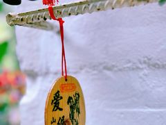 -西双版纳原始森林公园