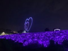 -大塘金香草谷