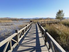 -野鸭湖国家湿地公园