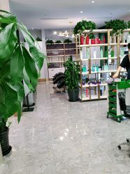 -时尚玩家发型设计