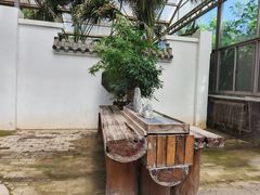 -石家庄市植物园