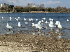 -洱海月湿地公园