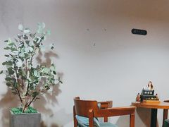 -梵猫·新养生(湛江鼎盛店)