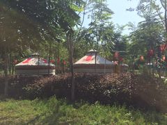 -草根堂农场