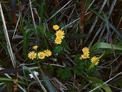 -萍乡武功山风景名胜区
