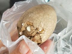 -金盆阿嬷香菇茶叶蛋(玄光店)