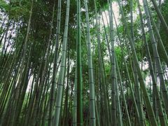 -新虹桥中心花园