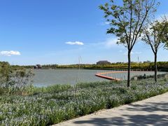 -天津东丽湖风景区