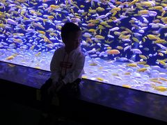 -成都浩海立方海洋公园