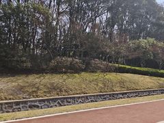 -宜兴龙背山森林公园