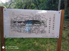 门票-神光山国家森林公园