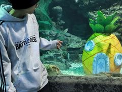 -南昌海洋公园