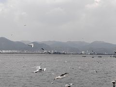 -滇池海埂公园