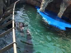 -华夏文旅海洋公园