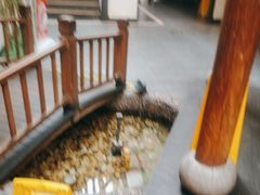 -壹零捌道·北京烤鸭(车公庄店)