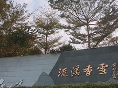 -广州市流溪河国家森林公园