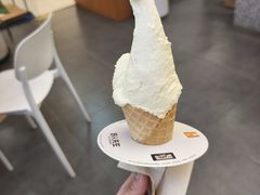 -野人先生Gelato(上海长宁龙之梦店)