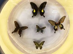 -下渚湖国家湿地公园科普馆