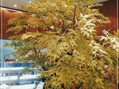 -君之狮子山·轻糖烘焙(松江印象城店)