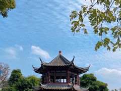 -碧江金楼