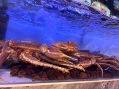 -章吴记喜瑞餐厅(东东城店)