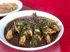 红炖昂刺鱼-湖鲜楼