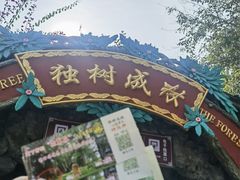 -瑞丽独树成林风景区