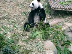 美景-河川生态园