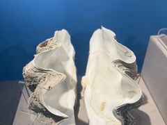 -温州博物馆