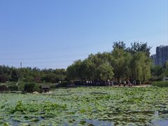 -太阳宫公园