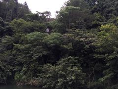 -五龙源极限漂流