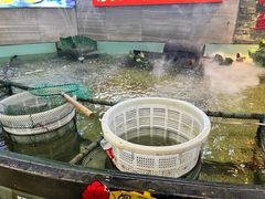 -楚鱼王·河鲜·湖北菜(华农店)