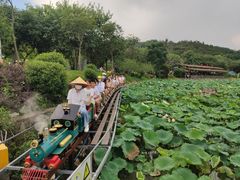 -红山村