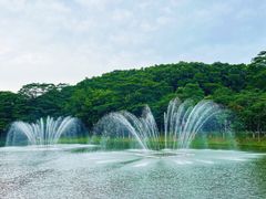 -东莞植物园