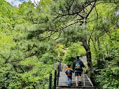 -王顺山国家森林公园