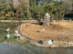 -杭州野生动物世界