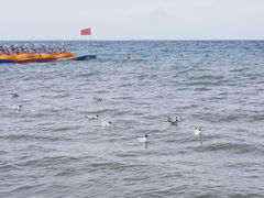 -青海湖二郎剑景区
