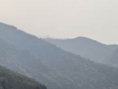 -后柳水乡