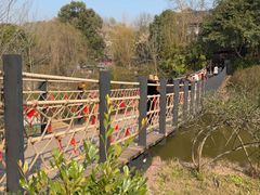 -五凤溪古镇