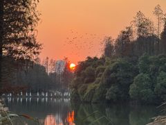 -艾溪湖湿地公园