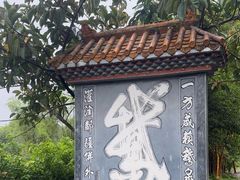 -靖西鹅泉风景区