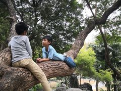 -晓港公园