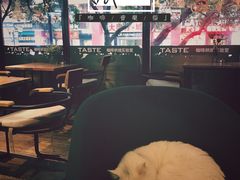 -PCA专业咖啡技能训练营(西南重庆总部)