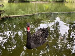 -海南热带野生动植物园