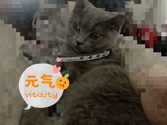 -芭比堂动物医院(广州爱宠下渡路分院)