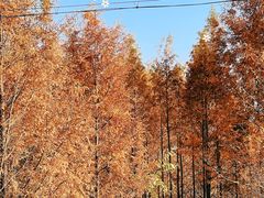 -安徽省体育中心羽毛球馆(芜湖路店)