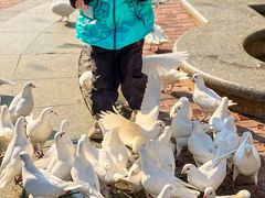 -王府井奥莱临潼小镇(临潼店)